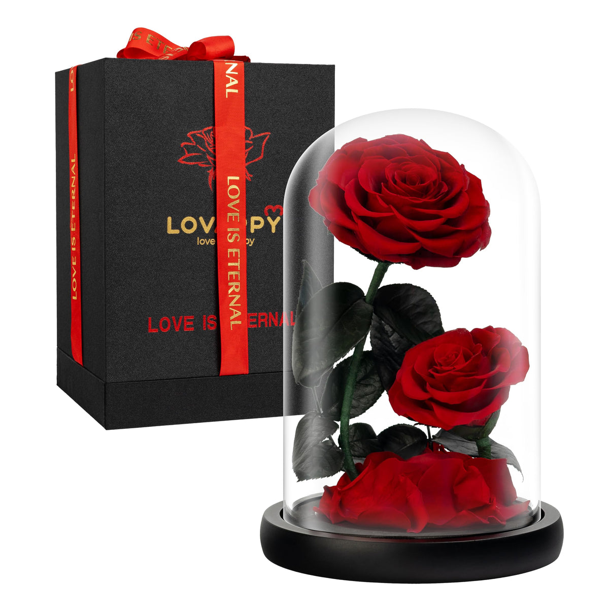 LOVAPPY Eternal Flower in a Glass Dome: Preserved Rose - The Perfect Forever Infinity Rose Gift for Her on Valentines Day Mothers Day Birthday Anniversary Wedding and Christmas (9 inch)