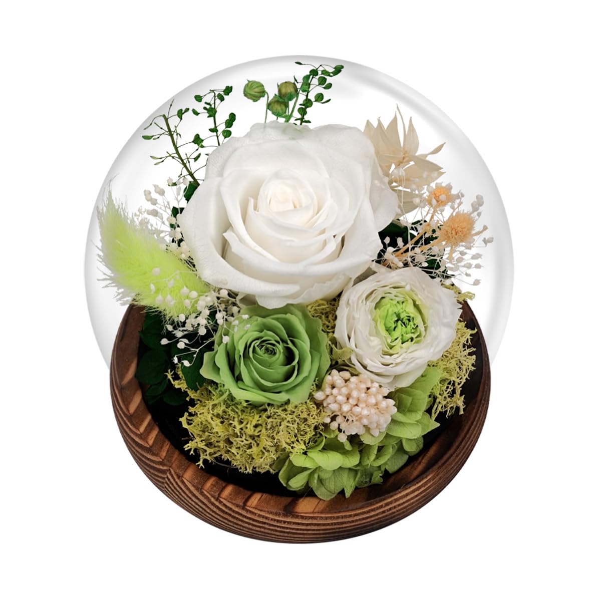 Eightown Green Roses Preserved 100% Real Flower in Glass Dome - Real Rose Gift for Her - Forever Gift for Valentines Day Mothers Day Birthday Christmas Anniversary Wedding Thanksgiving (Green)